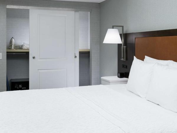 Hampton Inn & Suites Memphis-Beale Street : photo 1 de la chambre chambre lit king-size avec baignoire – adaptée aux personnes à mobilité réduite/malentendantes