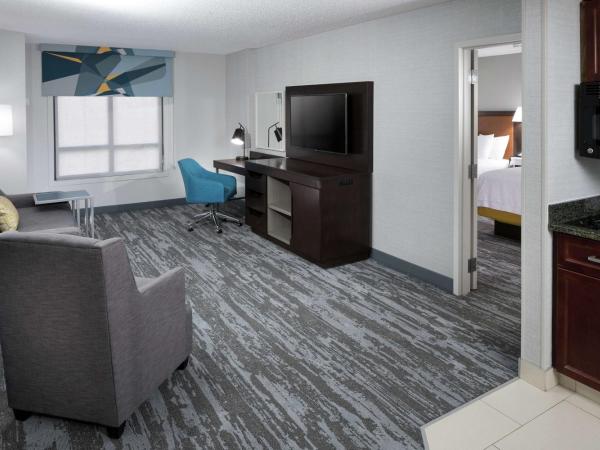 Hampton Inn & Suites Memphis-Beale Street : photo 3 de la chambre suite 1 chambre lit king-size avec canapé-lit et cuisine