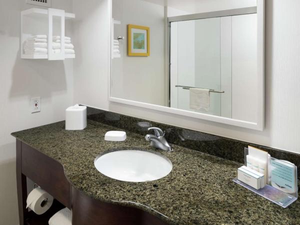 Hampton Inn & Suites Memphis-Beale Street : photo 4 de la chambre chambre lit king-size avec canapé-lit