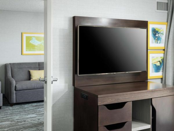 Hampton Inn & Suites Memphis-Beale Street : photo 5 de la chambre suite 1 chambre lit king-size avec canapé-lit