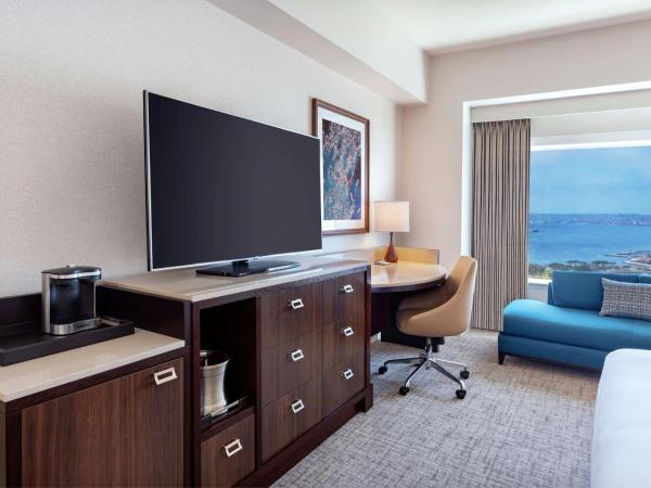 Hilton San Diego Bayfront : photo 4 de la chambre chambre lit king-size - vue sur baie et ville
