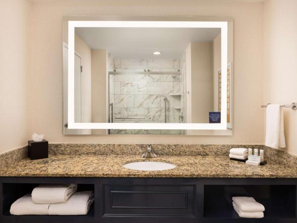 Embassy Suites by Hilton Atlanta Buckhead : photo 3 de la chambre suite lit king-size