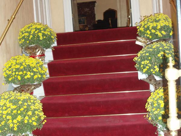 Acropolis Museum Boutique Hotel : photo 6 de la chambre chambre simple