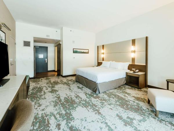 Hilton Garden Inn Denver Union Station : photo 4 de la chambre chambre lit king-size avec douche accessible en fauteuil roulant - adaptée aux personnes à mobilité réduite