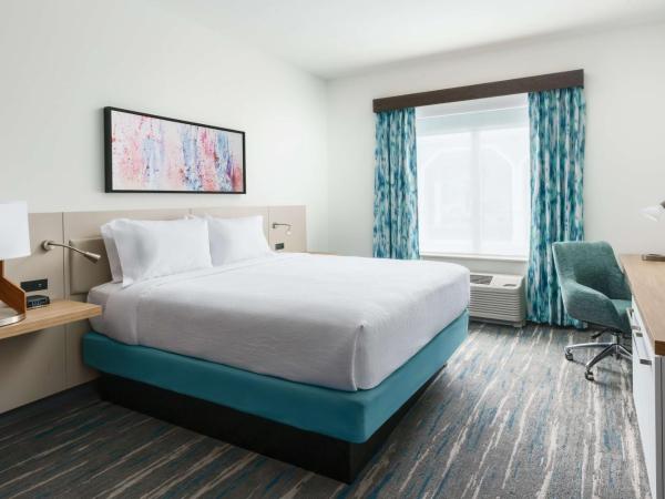 Hilton Garden Inn Apopka City Center, Fl : photo 4 de la chambre suite 1 chambre lit king-size avec canapé-lit