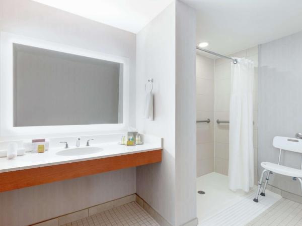 DoubleTree by Hilton Atlanta Airport : photo 3 de la chambre chambre lit king-size - douche accessible aux personnes à mobilité réduite - non-fumeurs