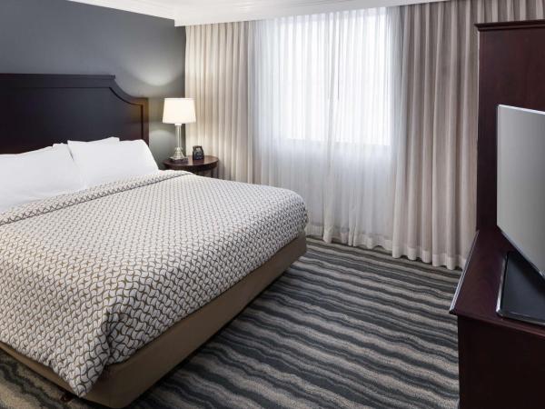 Embassy Suites by Hilton Tampa Brandon : photo 2 de la chambre chambre lit king-size avec baignoire - adaptée aux personnes à mobilité réduite/malentendantes - non-fumeurs