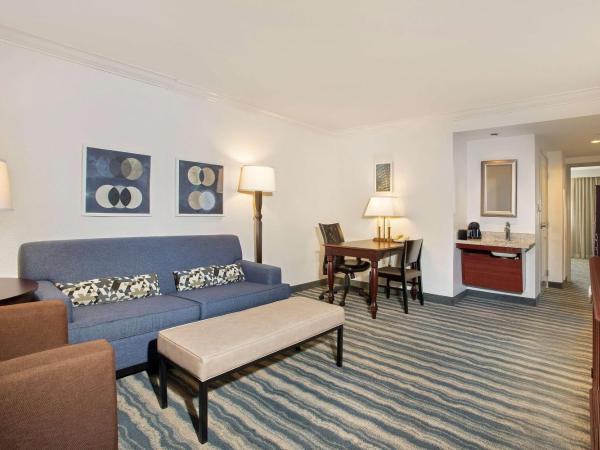 Embassy Suites by Hilton Tampa Brandon : photo 1 de la chambre chambre lit king-size avec baignoire - adaptée aux personnes à mobilité réduite/malentendantes - non-fumeurs