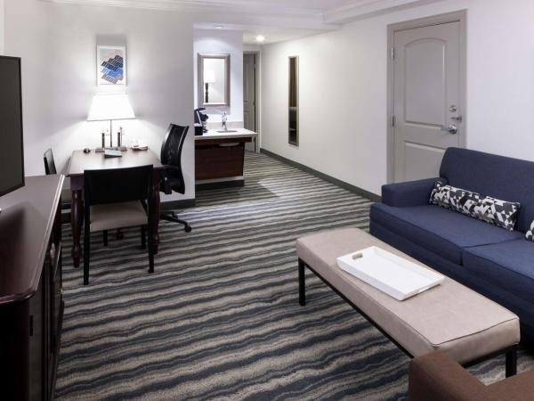 Embassy Suites by Hilton Tampa Brandon : photo 3 de la chambre chambre lit king-size avec baignoire - adaptée aux personnes à mobilité réduite/malentendantes - non-fumeurs