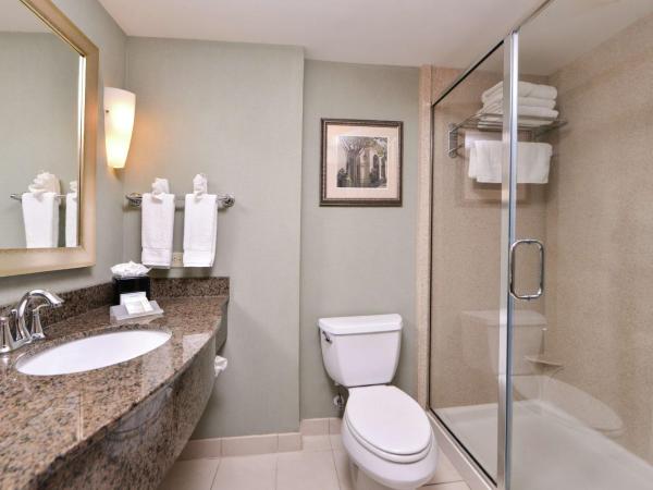 Hilton Garden Inn Jacksonville Downtown Southbank : photo 6 de la chambre chambre lit king-size