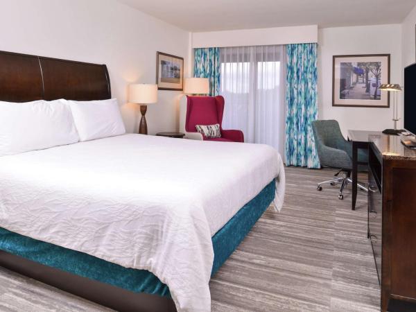 Hilton Garden Inn Jacksonville Downtown Southbank : photo 1 de la chambre chambre lit king-size