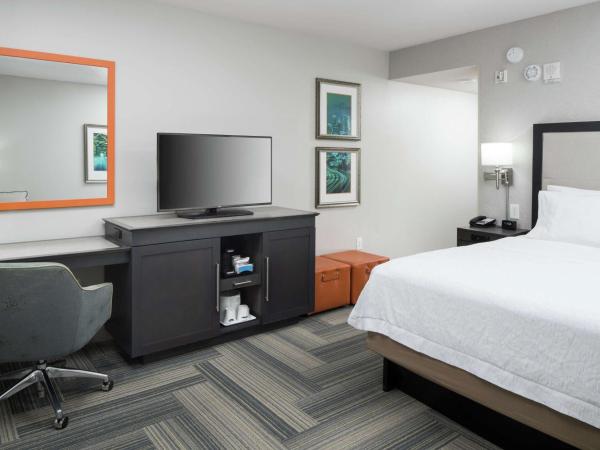 Hampton Inn & Suites by Hilton Atlanta Perimeter Dunwoody : photo 1 de la chambre chambre lit king-size - adaptée aux personnes malentendantes - non-fumeurs