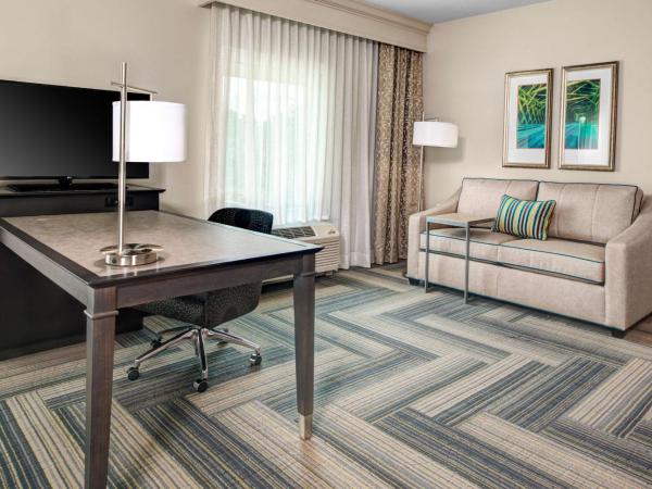 Hampton Inn & Suites by Hilton Atlanta Perimeter Dunwoody : photo 2 de la chambre suite studio lit king-size avec canapé-lit - adaptée aux personnes malentendantes - non-fumeurs