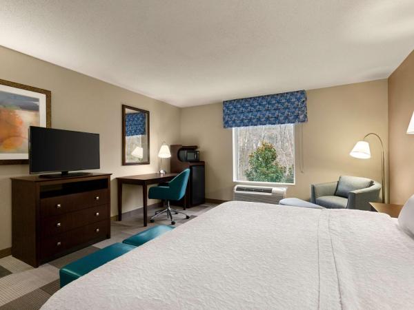 Hampton Inn & Suites Atlanta Airport West Camp Creek Pkwy : photo 1 de la chambre chambre lit king-size avec douche accessible en fauteuil roulant -adaptée aux personnes à mobilité réduite/malentendantes - non-fumeurs