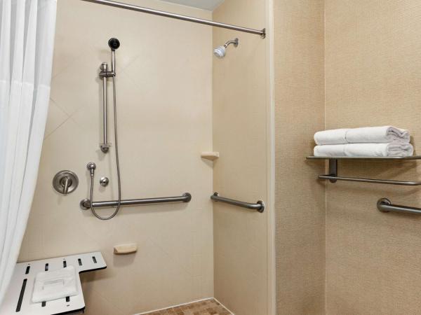 Hampton Inn & Suites Atlanta Airport West Camp Creek Pkwy : photo 4 de la chambre chambre lit king-size avec douche accessible en fauteuil roulant -adaptée aux personnes à mobilité réduite/malentendantes - non-fumeurs