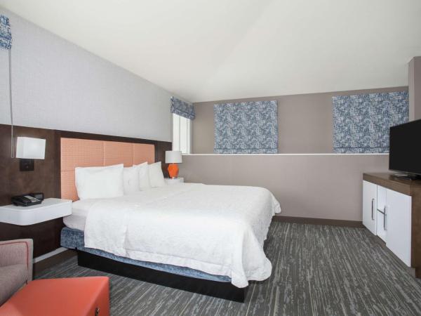 Hampton Inn & Suites Denver-Downtown : photo 3 de la chambre suite lit king-size – non-fumeurs