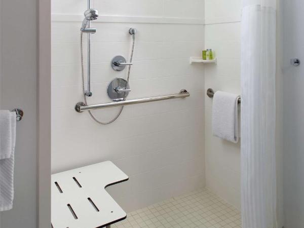 Hilton Garden Inn Atlanta-Buckhead : photo 2 de la chambre chambre lit king-size avec douche accessible en fauteuil roulant - adaptée aux personnes à mobilité réduite/malentendantes