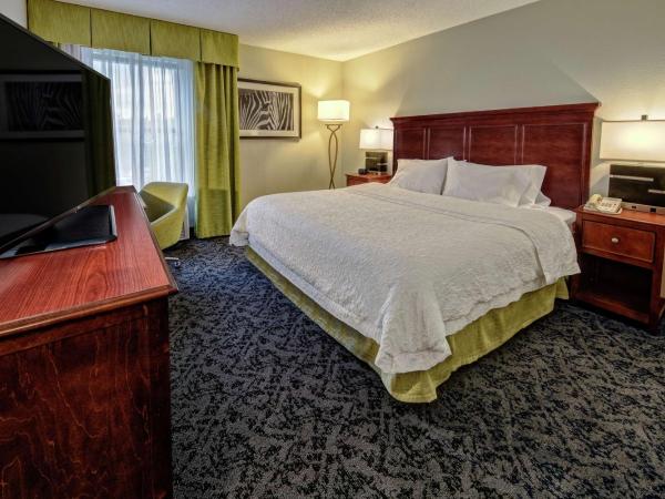 Hampton Inn Charlotte/Matthews : photo 4 de la chambre chambre lit king-size avec four micro-ondes et réfrigérateur - non-fumeurs
