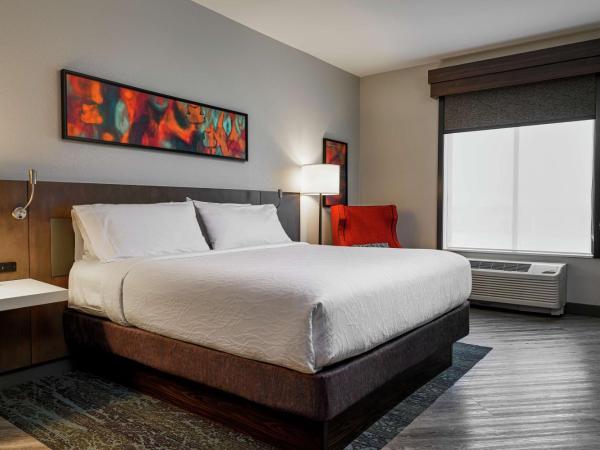 Hilton Garden Inn Louisville Mall Of St. Matthews : photo 1 de la chambre chambre lit king-size