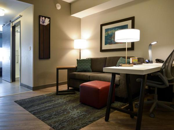 Hilton Garden Inn Louisville Mall Of St. Matthews : photo 1 de la chambre suite junior lit king-size avec canapé-lit