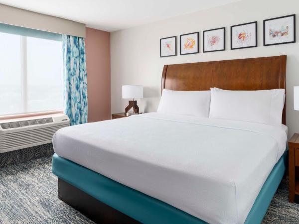 Hilton Garden Inn Orlando at SeaWorld : photo 3 de la chambre suite 1 chambre lit king-size avec canapé-lit