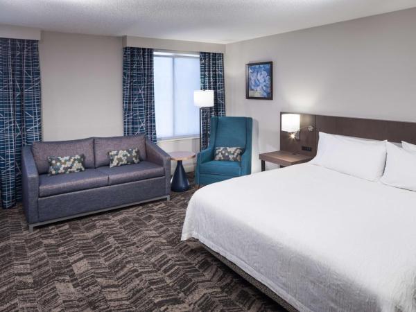 Hilton Garden Inn Savannah Airport : photo 5 de la chambre chambre lit king-size avec douche accessible en fauteuil roulant - adaptée aux personnes à mobilité réduite