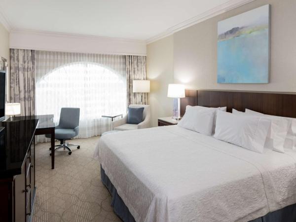 Hampton Inn & Suites South Park at Phillips Place : photo 2 de la chambre chambre lit king-size exécutive non-fumeurs