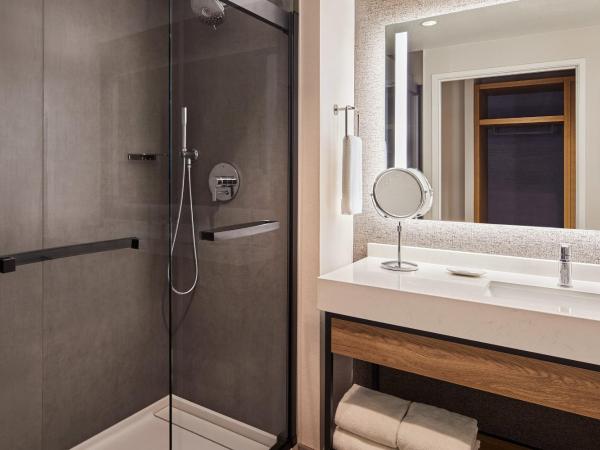 Sheraton Phoenix Downtown : photo 4 de la chambre traditional room, guest room, 1 king, city view, low floor