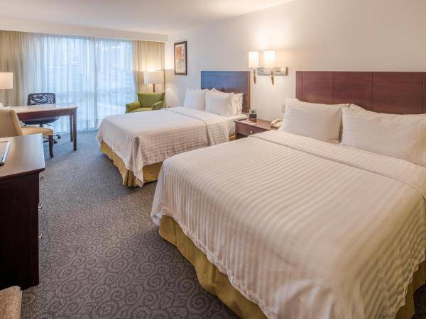 Holiday Inn Monterrey Valle, an IHG Hotel : photo 2 de la chambre chambre double standard avec 2 lits doubles