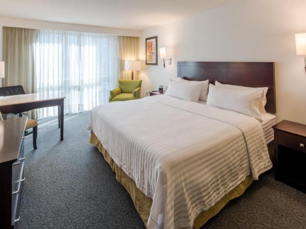 Holiday Inn Monterrey Valle, an IHG Hotel : photo 1 de la chambre chambre lit king-size standard - Étage supérieur