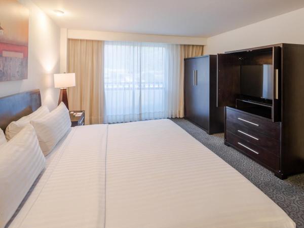 Holiday Inn Monterrey Valle, an IHG Hotel : photo 6 de la chambre suite lit king-size - vue sur jardin