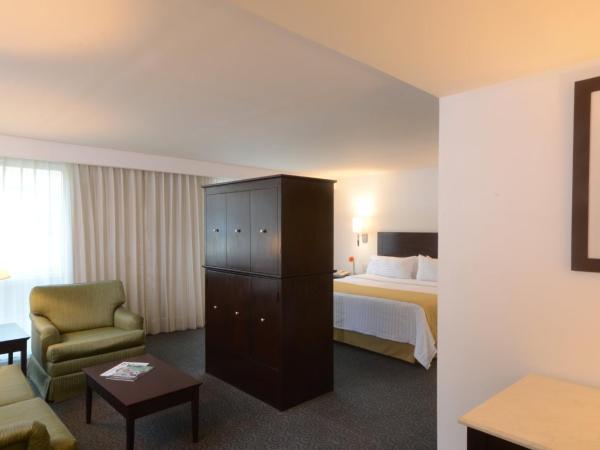 Holiday Inn Monterrey Valle, an IHG Hotel : photo 1 de la chambre suite lit king-size