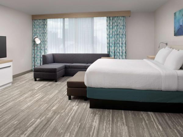 Hilton Garden Inn Orlando Downtown : photo 3 de la chambre chambre lit king-size deluxe