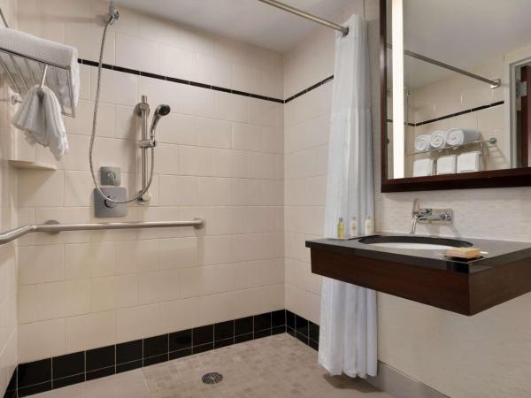 DoubleTree by Hilton New York Downtown : photo 3 de la chambre chambre double avec douche accessible aux personnes à mobilité réduite - installations pour personnes malentendantes