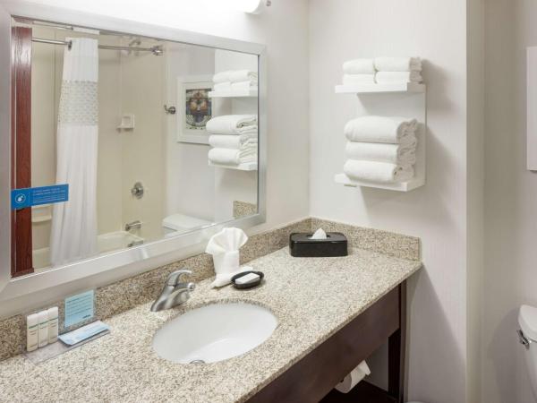 Hampton Inn St Louis- at the Arch : photo 3 de la chambre chambre lit queen-size - non-fumeurs