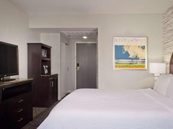 Hilton Garden Inn Austin Downtown-Convention Center : photo 9 de la chambre chambre lit king-size