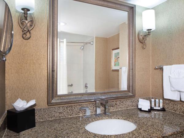 Embassy Suites by Hilton Dallas Near the Galleria : photo 8 de la chambre suite lit king-size