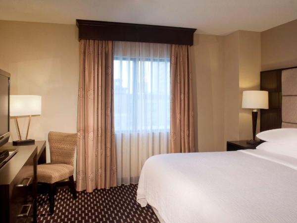 Embassy Suites by Hilton Houston Near the Galleria : photo 2 de la chambre suite 2 pièces avec lit king-size - non-fumeurs