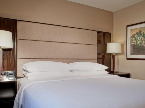 Embassy Suites by Hilton Houston Near the Galleria : photo 3 de la chambre suite 2 pièces avec lit king-size - non-fumeurs