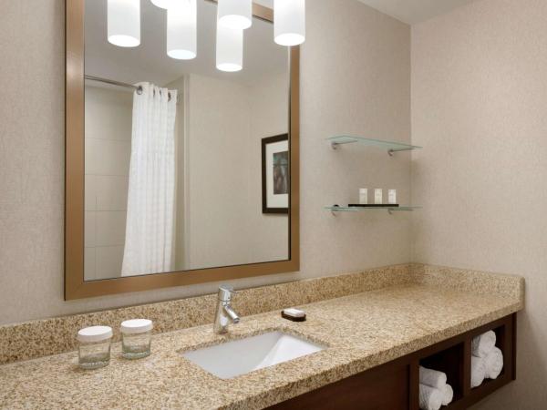 Embassy Suites by Hilton Denver Downtown Convention Center : photo 5 de la chambre suite avec 2 lits queen-size - non-fumeurs