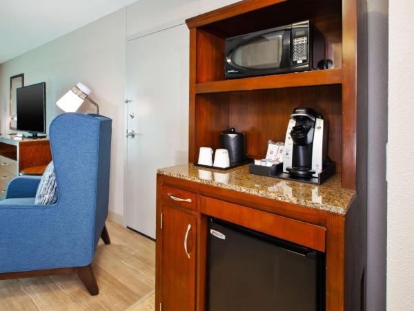 Hilton Garden Inn Virginia Beach Oceanfront : photo 3 de la chambre chambre lit king-size - face à l'océan