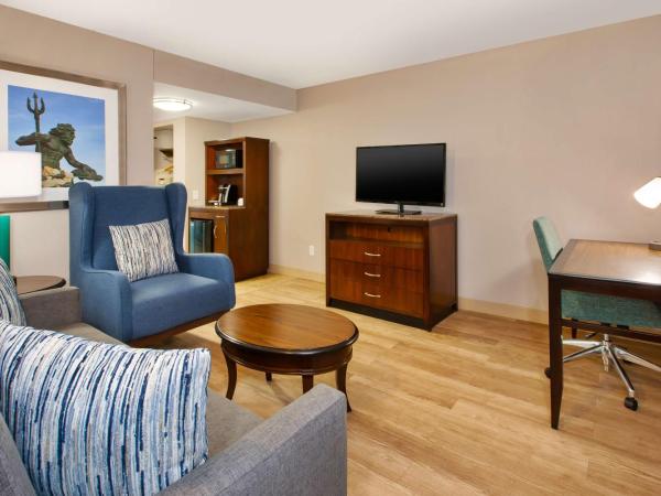 Hilton Garden Inn Virginia Beach Oceanfront : photo 2 de la chambre suite 1 chambre avec lit king-size - front de mer
