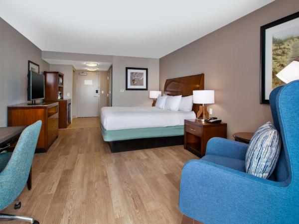 Hilton Garden Inn Virginia Beach Oceanfront : photo 4 de la chambre chambre lit king-size - vue sur l'océan