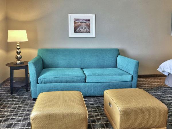 Hampton Inn & Suites Albuquerque Airport : photo 4 de la chambre chambre lit king-size avec canapé-lit - non-fumeurs