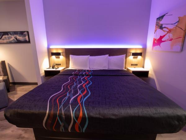 Express Inn & Suites : photo 2 de la chambre studio lit king-size