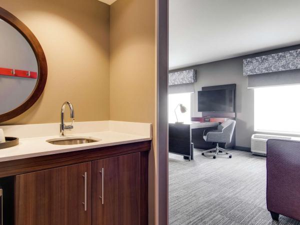 Hampton Inn & Suites by Hilton Nashville North Skyline : photo 3 de la chambre suite studio lit king-size - non-fumeurs