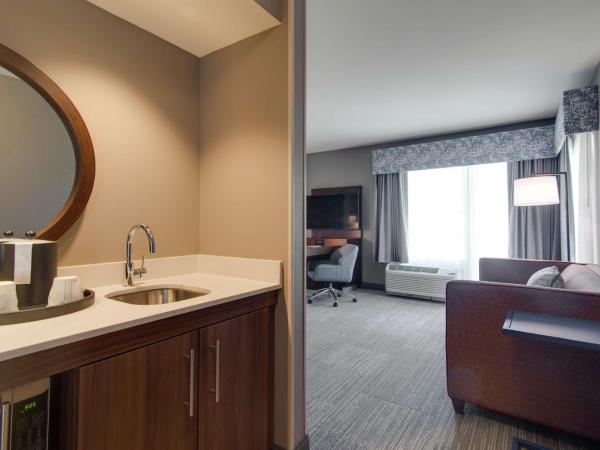 Hampton Inn & Suites by Hilton Nashville North Skyline : photo 3 de la chambre king studio with city view - hearing accessible/non-smoking