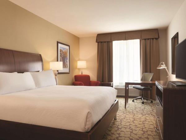 Hilton Garden Inn Boston Logan Airport : photo 3 de la chambre chambre lit king-size
