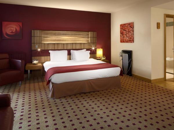 Radisson BLU Hotel & Spa, Little Island Cork : photo 1 de la chambre chambre standard