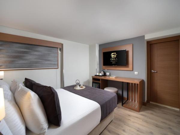Orka Royal Hotel & Spa : photo 5 de la chambre chambre Économique – accès gratuit au spa